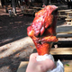 Illustration for article titled Here Are All the Wonderful/Horrifying Things I Ate At the MD Ren Faire